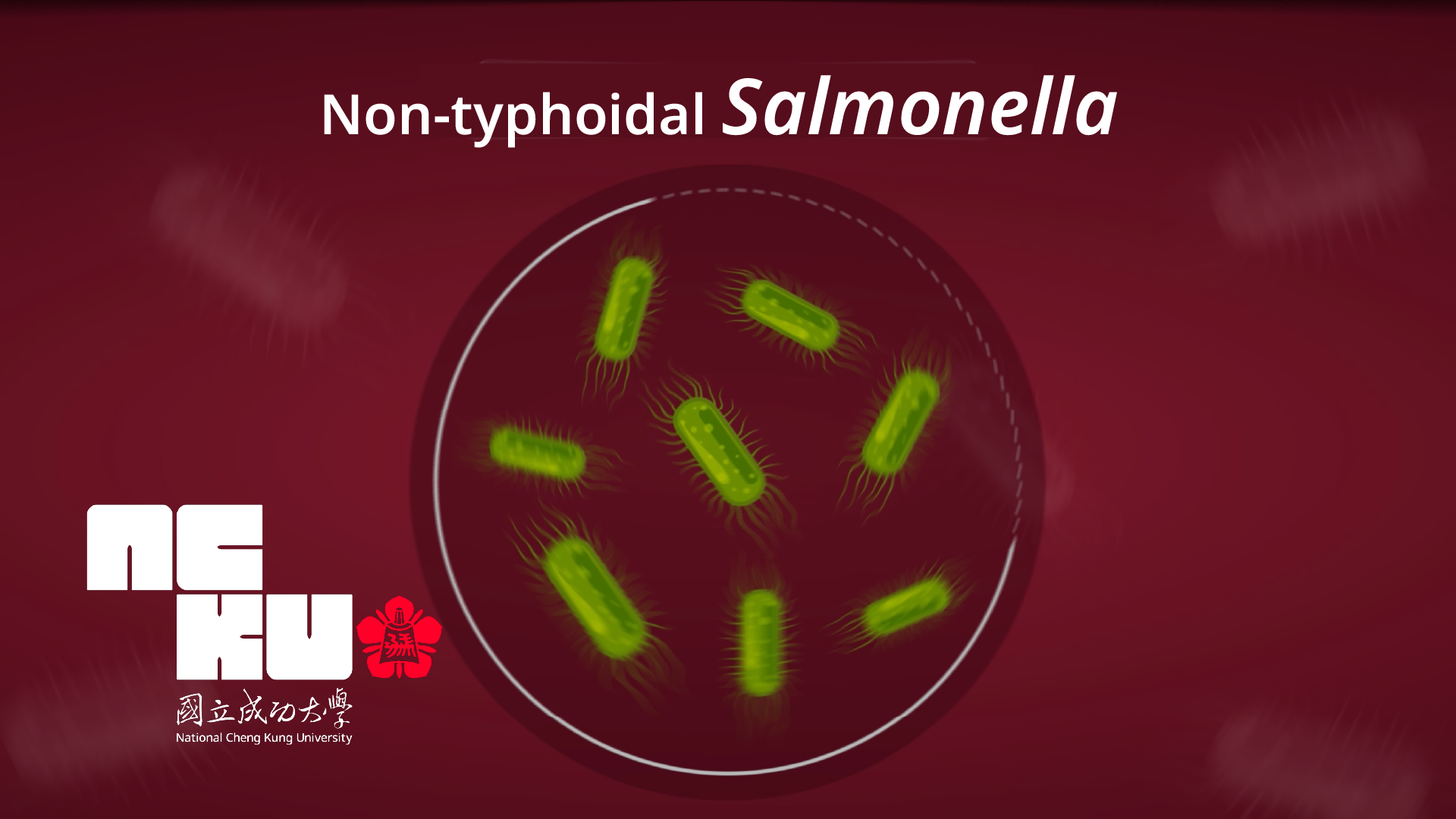 Risk of Non-typhoidal Salmonella Vascular Infection Increases with Atherosclerosis
