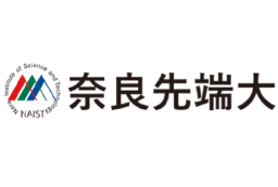 NAIST Logo